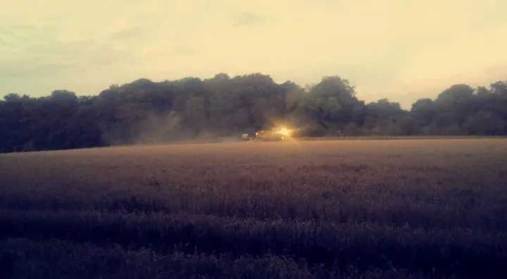 Post-harvest grain spoilage reduction for agriculture using IoT sensing and machine learning